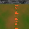 Book 4 Texture