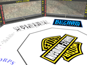 UFC Octagon Inside Render