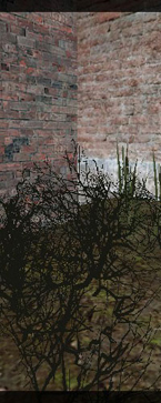 Screenshot Thumb 1