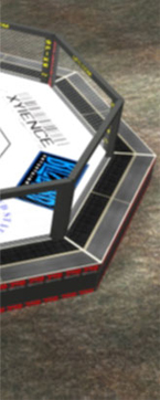 UFC Octagon thumb 1