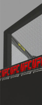 UFC Octagon