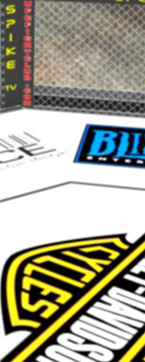 UFC Octagon thumb 3